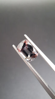Grey Spinel
