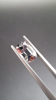 Grey Spinel
