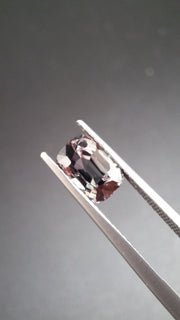 Grey Spinel