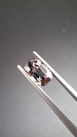 Grey Spinel