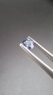 Round calibrated blue saphir