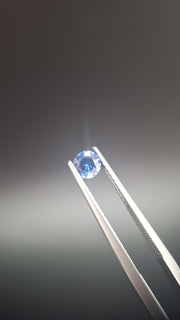 Round calibrated blue saphir