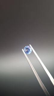 Round calibrated blue saphir