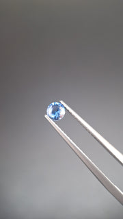 Round calibrated blue saphir