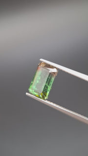 bicolore Turmalin