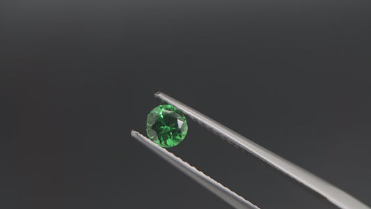 Edler Tsavorit Granat – Brillanter Rundschliff – 0,32 ct