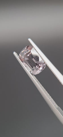 Grey Spinel