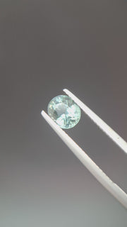Grey Spinel
