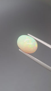 Opal Oval