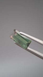 Turmaline Bicolore