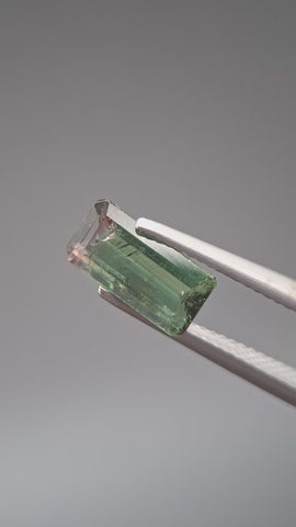 Turmaline Bicolore