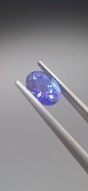 Tanzanite Oval Gemstone – Rare Blue-Violet Gem | Ideal for Jewelry, Tucson Gem Show 2025 Pick
