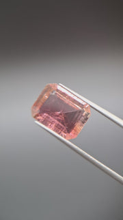 Bicolore pink turmalin