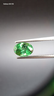 Tsavorit garnet Oval