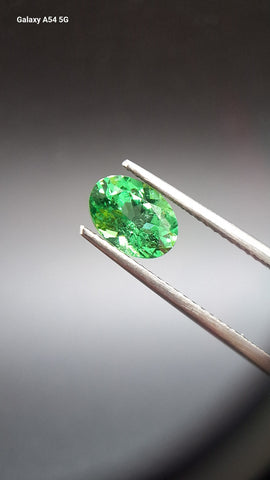 Tsavorit garnet Oval