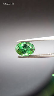 Tsavorit garnet Oval