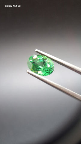 Tsavorit garnet Oval