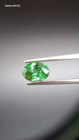 Tsavorit garnet Oval