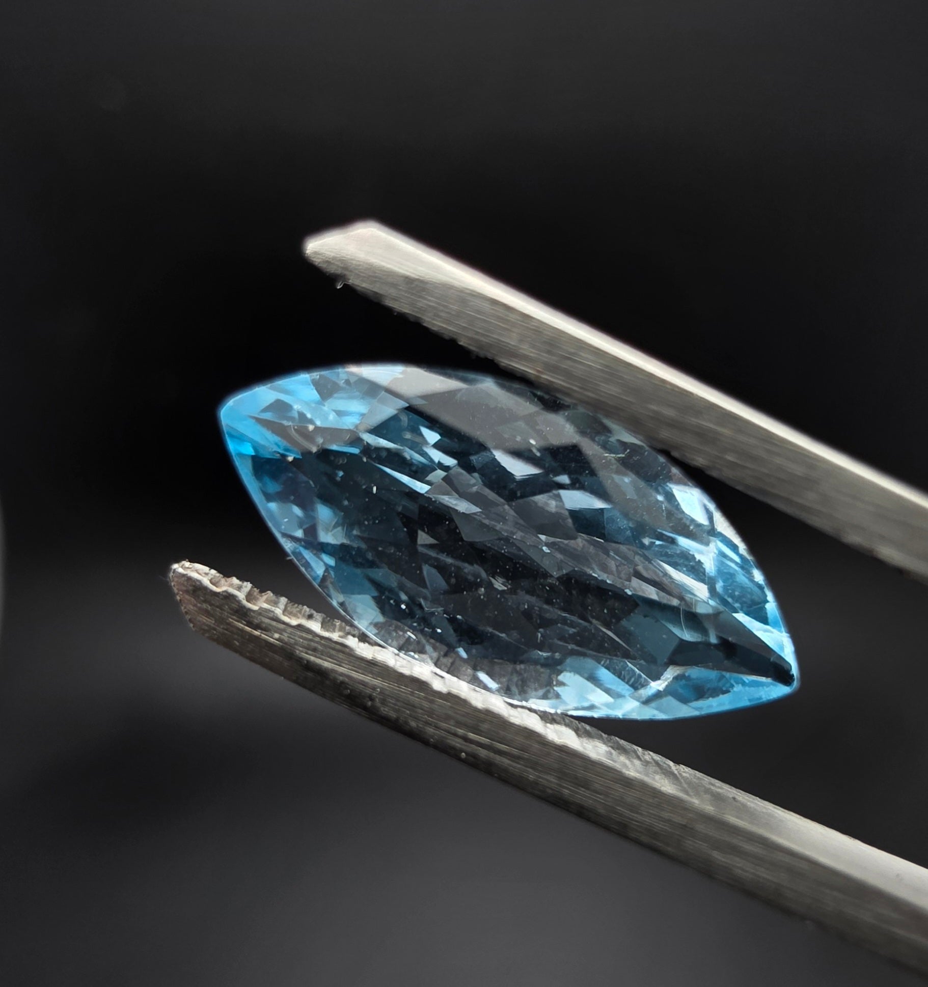 tucson gem show 2025​
pink gems​
nail gems
winter gem boxwood​
saphire gem chicken​
gem pad​
2017 polaris gem brochure​
brown gems​