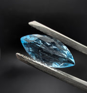 tucson gem show 2025​
pink gems​
nail gems
winter gem boxwood​
saphire gem chicken​
gem pad​
2017 polaris gem brochure​
brown gems​